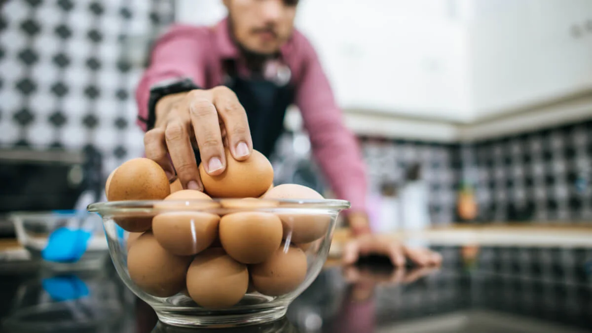 Äggkläckare Brinsea Ovation 28 Eco – produktöversikt